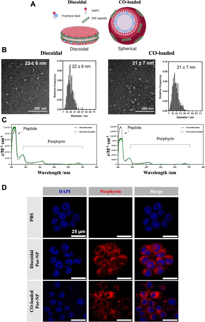 https://cdn.ncbi.nlm.nih.gov/pmc/blobs/10b2/12398886/722cf0028036/gr1.jpg