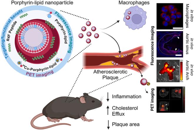 https://cdn.ncbi.nlm.nih.gov/pmc/blobs/10b2/12398886/da95827d0b41/ga1.jpg
