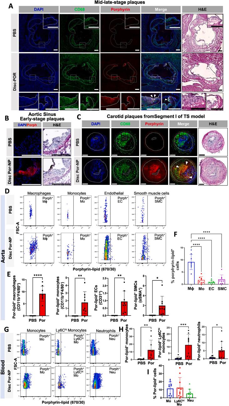 https://cdn.ncbi.nlm.nih.gov/pmc/blobs/10b2/12398886/eec439878cf4/gr6.jpg