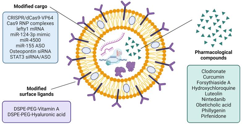 https://cdn.ncbi.nlm.nih.gov/pmc/blobs/10b5/12367467/24f3009660bd/evcna-6-2-216.fig.4.jpg