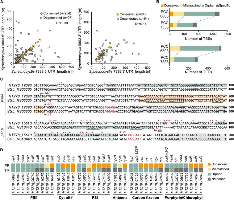 https://cdn.ncbi.nlm.nih.gov/pmc/blobs/10b5/8155712/f14e3cbe46be/fmicb-12-667450-g003.jpg