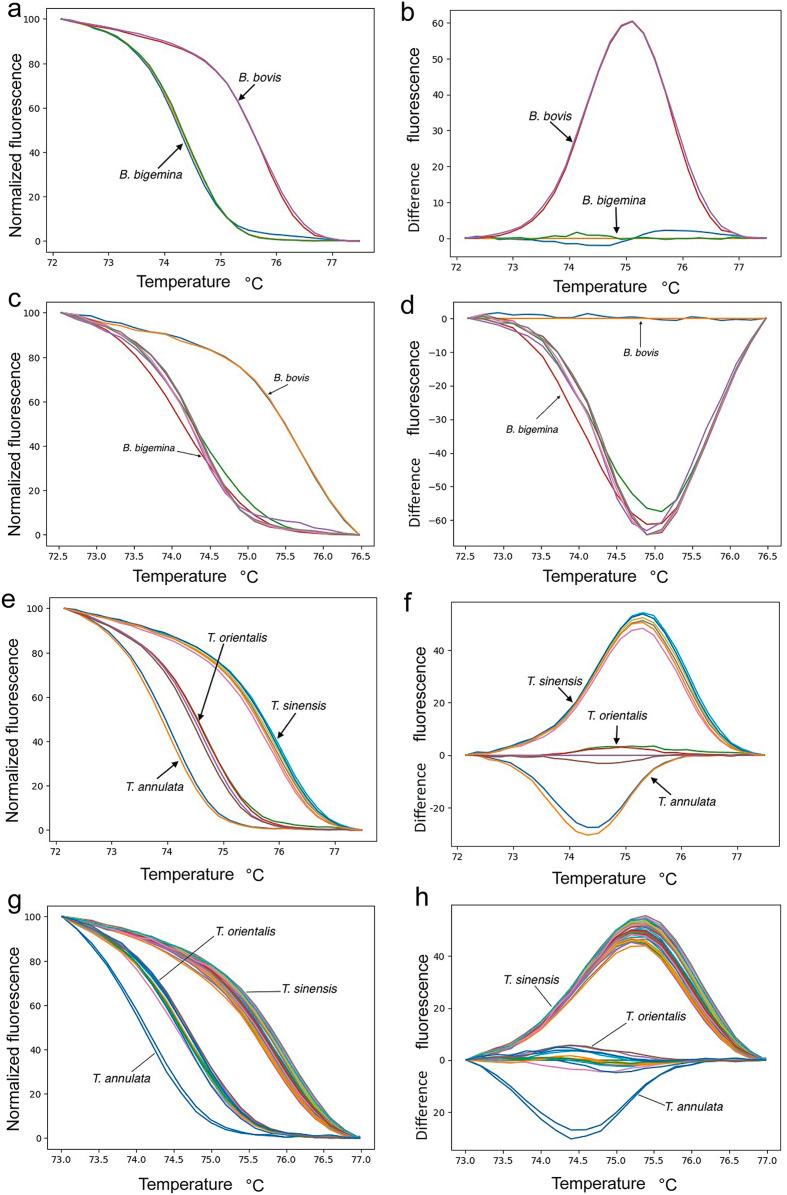 https://cdn.ncbi.nlm.nih.gov/pmc/blobs/10b6/12380414/6906b7457088/parasite-32-54-fig2.jpg