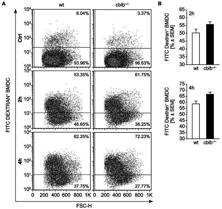 https://cdn.ncbi.nlm.nih.gov/pmc/blobs/10b7/3675148/086b4d803def/pone.0065178.g004.jpg