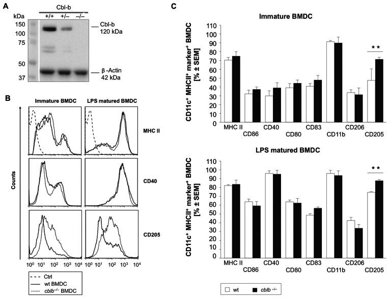 https://cdn.ncbi.nlm.nih.gov/pmc/blobs/10b7/3675148/f5cb08586725/pone.0065178.g001.jpg