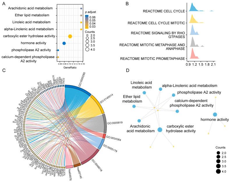 https://cdn.ncbi.nlm.nih.gov/pmc/blobs/10b9/10297172/75e0229f2b8c/diagnostics-13-01997-g003.jpg