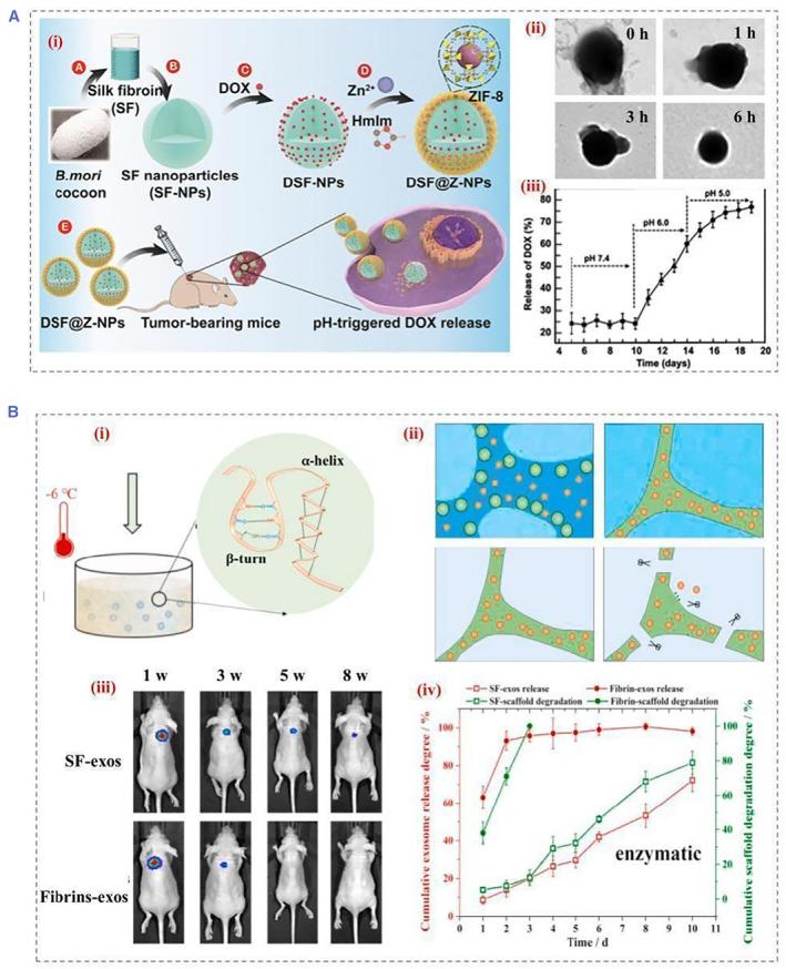 https://cdn.ncbi.nlm.nih.gov/pmc/blobs/10b9/11235688/0548166d664a/SMMD-2-e20220019-g006.jpg