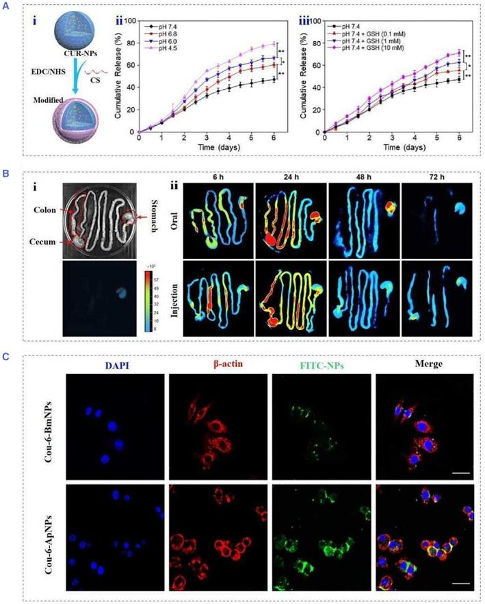 https://cdn.ncbi.nlm.nih.gov/pmc/blobs/10b9/11235688/72bacbc732dc/SMMD-2-e20220019-g008.jpg