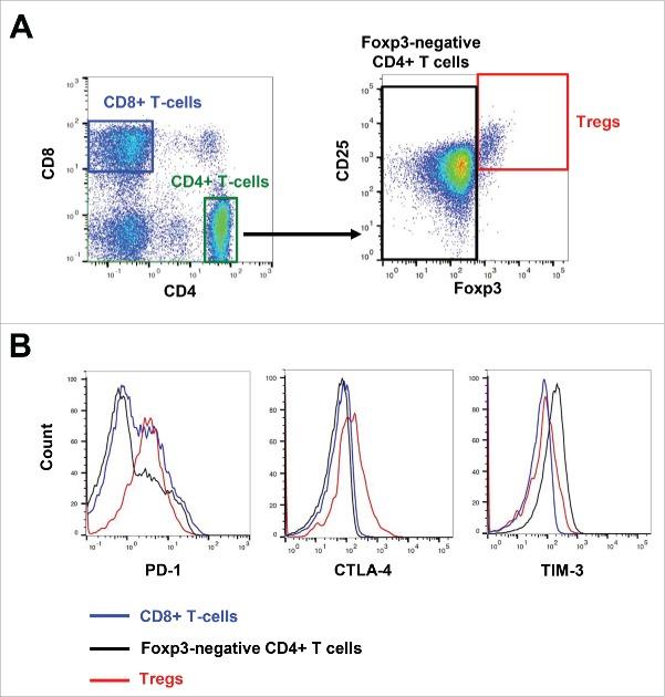 https://cdn.ncbi.nlm.nih.gov/pmc/blobs/10c1/5139687/7add6231e995/koni-05-11-1219008-g004.jpg
