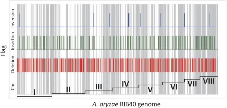 https://cdn.ncbi.nlm.nih.gov/pmc/blobs/10c2/3473370/83a6be230fc5/dss01904.jpg
