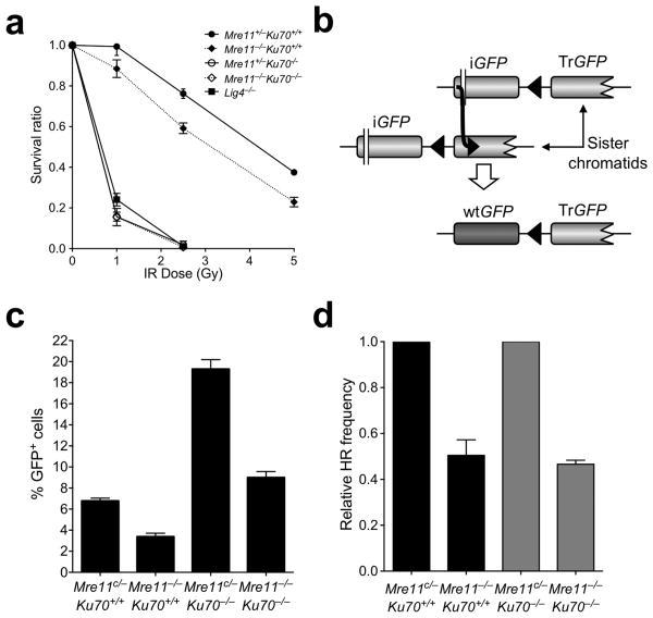 https://cdn.ncbi.nlm.nih.gov/pmc/blobs/10c4/4560612/e978570d6f68/nihms710500f4.jpg