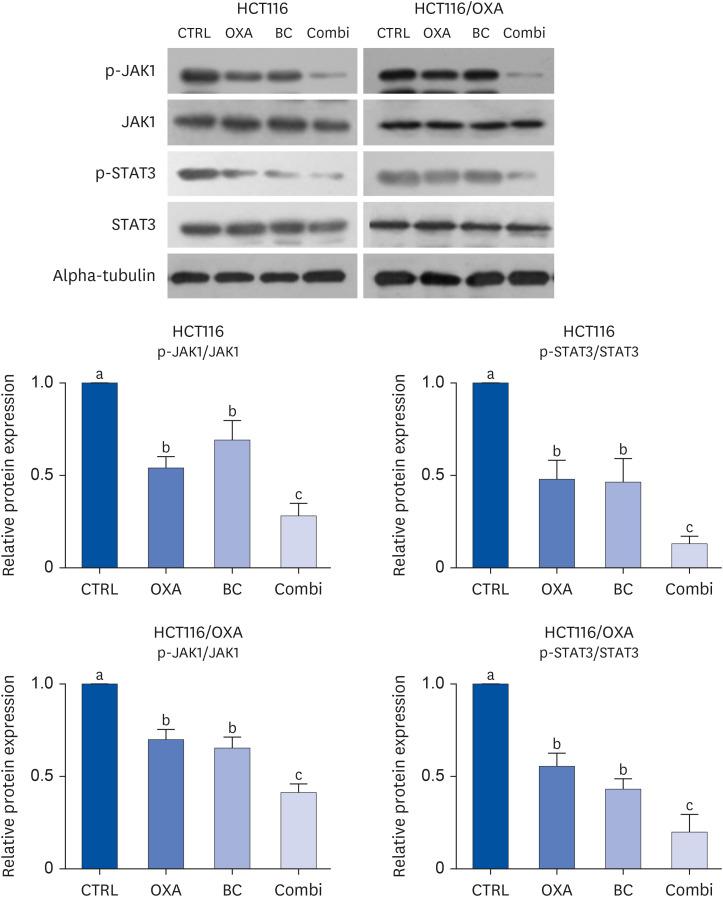 https://cdn.ncbi.nlm.nih.gov/pmc/blobs/10c6/10861335/d8053735614f/nrp-18-62-g005.jpg