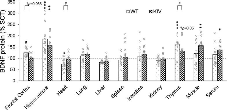 https://cdn.ncbi.nlm.nih.gov/pmc/blobs/10c6/12048937/d207673e5d65/10020_2025_1196_Fig3_HTML.jpg