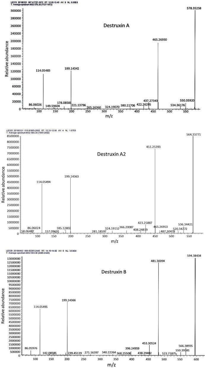 https://cdn.ncbi.nlm.nih.gov/pmc/blobs/10c6/9902421/76a24346c4b2/203_2023_3405_Fig6_HTML.jpg