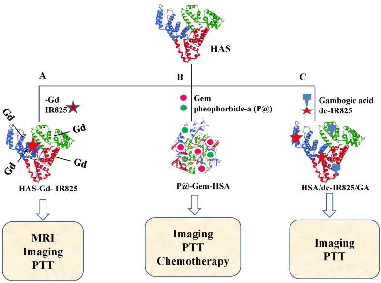 https://cdn.ncbi.nlm.nih.gov/pmc/blobs/10c7/6823240/e52fbc1f6dac/fphar-10-01264-g002.jpg