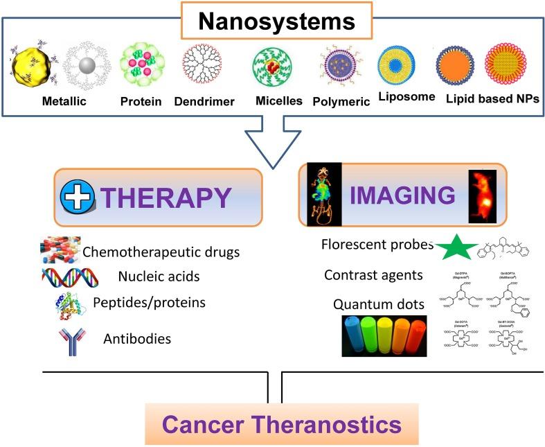 https://cdn.ncbi.nlm.nih.gov/pmc/blobs/10c7/6823240/f8b79263da5d/fphar-10-01264-g001.jpg