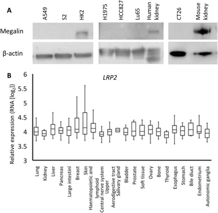 https://cdn.ncbi.nlm.nih.gov/pmc/blobs/10c7/7804437/435045f08c96/41598_2020_80853_Fig2_HTML.jpg