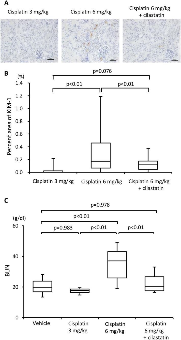 https://cdn.ncbi.nlm.nih.gov/pmc/blobs/10c7/7804437/761201a3757c/41598_2020_80853_Fig1_HTML.jpg