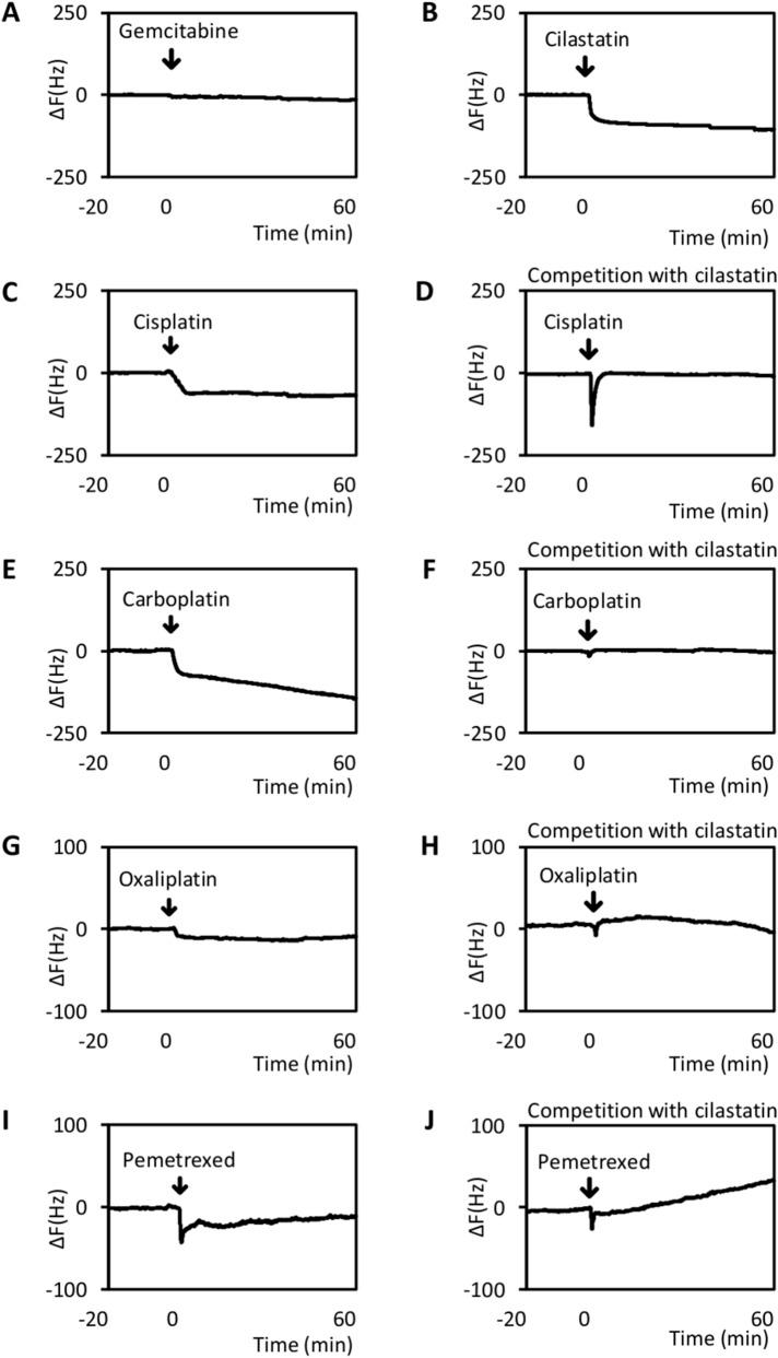 https://cdn.ncbi.nlm.nih.gov/pmc/blobs/10c7/7804437/8bd3f8643674/41598_2020_80853_Fig5_HTML.jpg