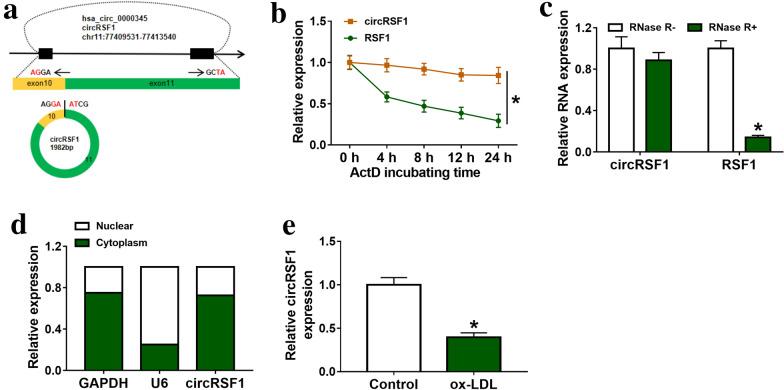 https://cdn.ncbi.nlm.nih.gov/pmc/blobs/10c7/7986494/1c24db289bd4/40659_2021_335_Fig1_HTML.jpg