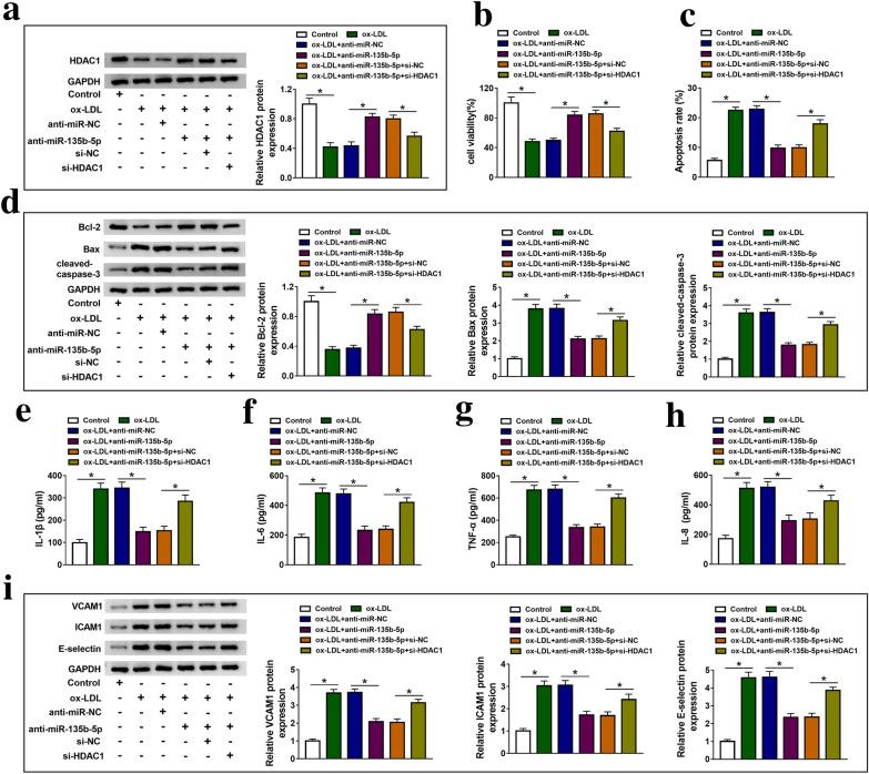 https://cdn.ncbi.nlm.nih.gov/pmc/blobs/10c7/7986494/2464773a4ae6/40659_2021_335_Fig6_HTML.jpg