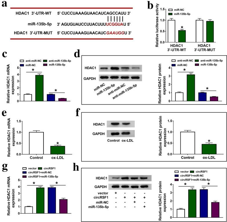 https://cdn.ncbi.nlm.nih.gov/pmc/blobs/10c7/7986494/433d0bfef309/40659_2021_335_Fig5_HTML.jpg