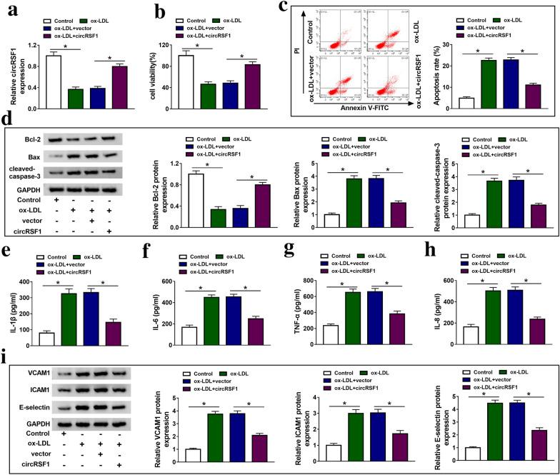 https://cdn.ncbi.nlm.nih.gov/pmc/blobs/10c7/7986494/4a8c38c21a55/40659_2021_335_Fig2_HTML.jpg