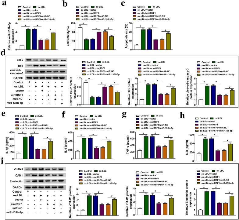 https://cdn.ncbi.nlm.nih.gov/pmc/blobs/10c7/7986494/8bac85ecaab8/40659_2021_335_Fig4_HTML.jpg