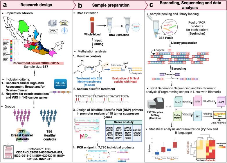 https://cdn.ncbi.nlm.nih.gov/pmc/blobs/10cc/11187128/022b54df9bdb/41698_2024_611_Fig1_HTML.jpg