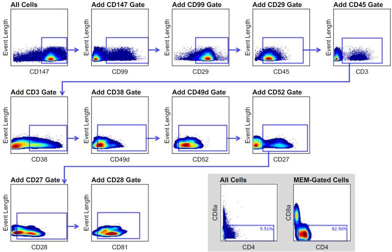 https://cdn.ncbi.nlm.nih.gov/pmc/blobs/10cd/8370768/19eb7caf20a2/elife-64653-fig6-figsupp2.jpg