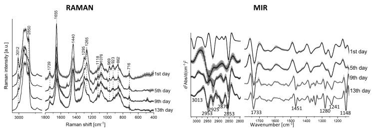https://cdn.ncbi.nlm.nih.gov/pmc/blobs/10cf/7070833/775006015de9/molecules-25-00817-g008.jpg