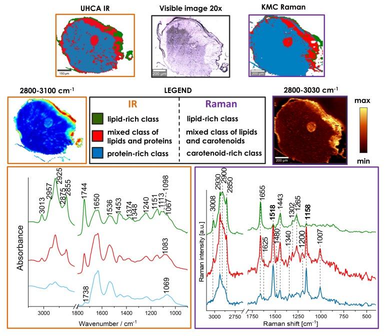 https://cdn.ncbi.nlm.nih.gov/pmc/blobs/10cf/7070833/bfe824594a56/molecules-25-00817-g007.jpg