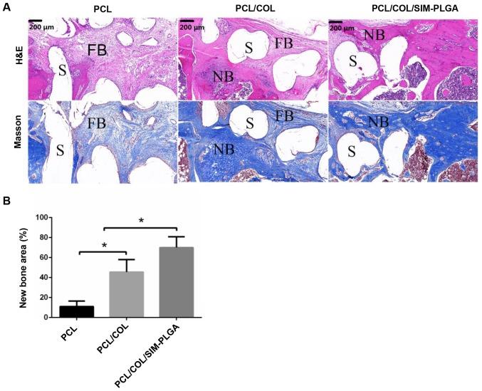 https://cdn.ncbi.nlm.nih.gov/pmc/blobs/10d0/6307523/3ed8e35ae3ce/etm-17-01-0079-g07.jpg