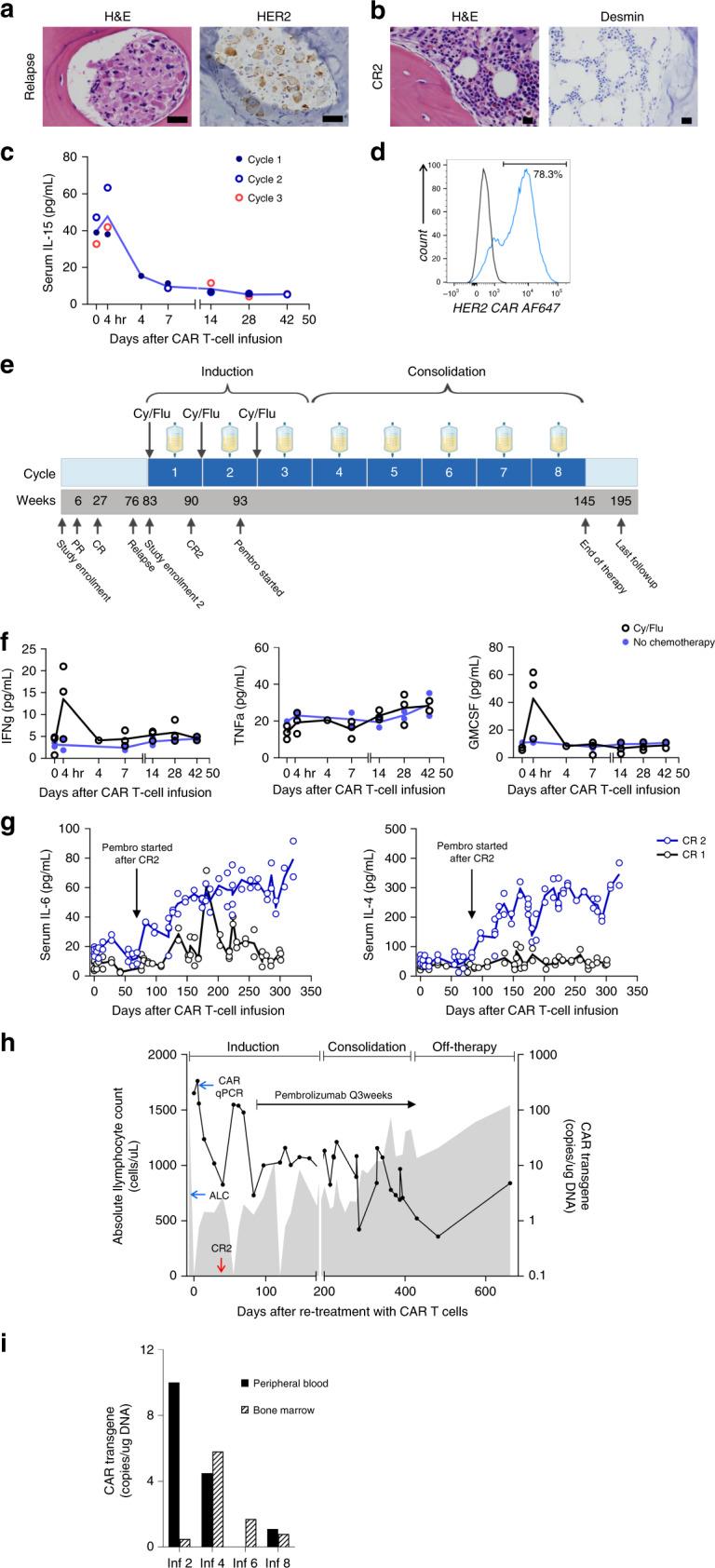 https://cdn.ncbi.nlm.nih.gov/pmc/blobs/10d2/7363864/06fc785682e6/41467_2020_17175_Fig7_HTML.jpg