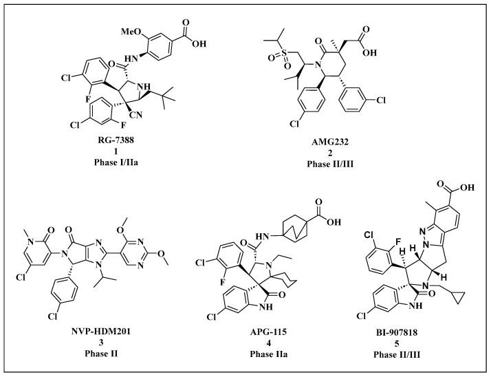 https://cdn.ncbi.nlm.nih.gov/pmc/blobs/10d3/12025665/361f1a6144fd/cells-14-00583-g005.jpg
