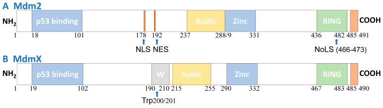 https://cdn.ncbi.nlm.nih.gov/pmc/blobs/10d3/12025665/8b325b93f43c/cells-14-00583-g002.jpg