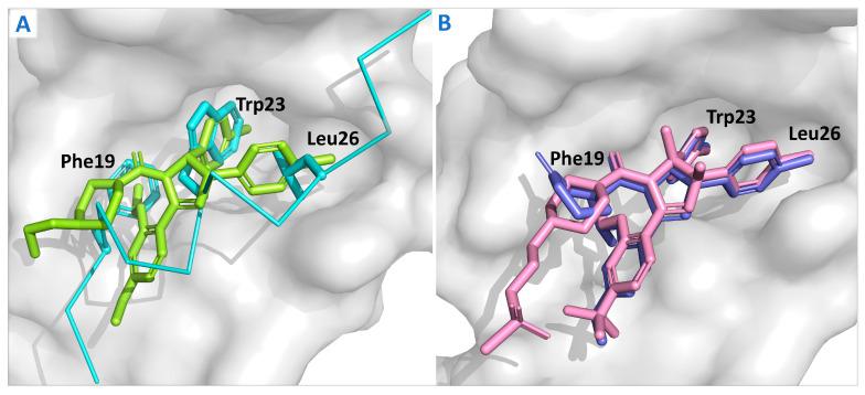 https://cdn.ncbi.nlm.nih.gov/pmc/blobs/10d3/12025665/f0218cf75877/cells-14-00583-g004.jpg