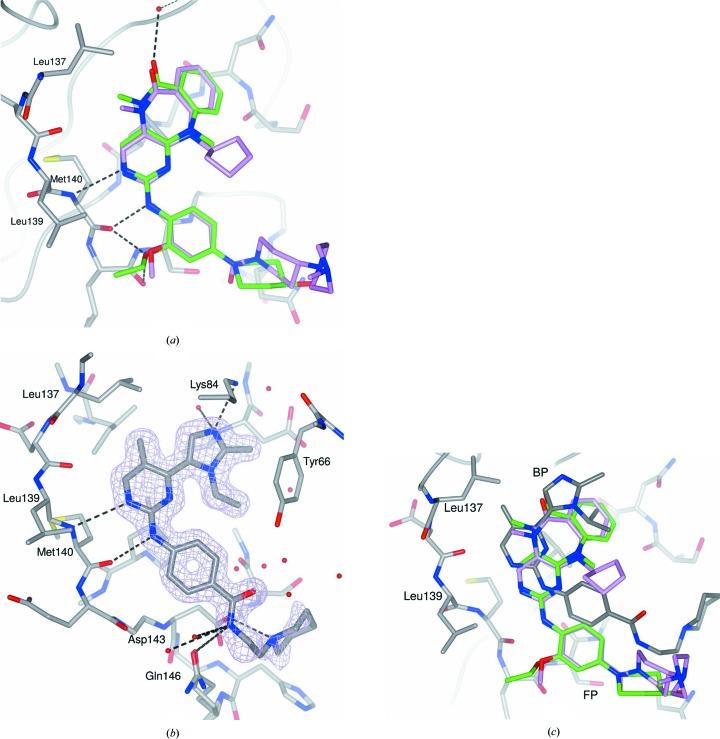 https://cdn.ncbi.nlm.nih.gov/pmc/blobs/10d4/4854315/b8b34c0d73ab/d-72-00682-fig5.jpg