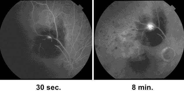 https://cdn.ncbi.nlm.nih.gov/pmc/blobs/10d7/4943772/b40dcc39f041/cop-0007-0243-g02.jpg