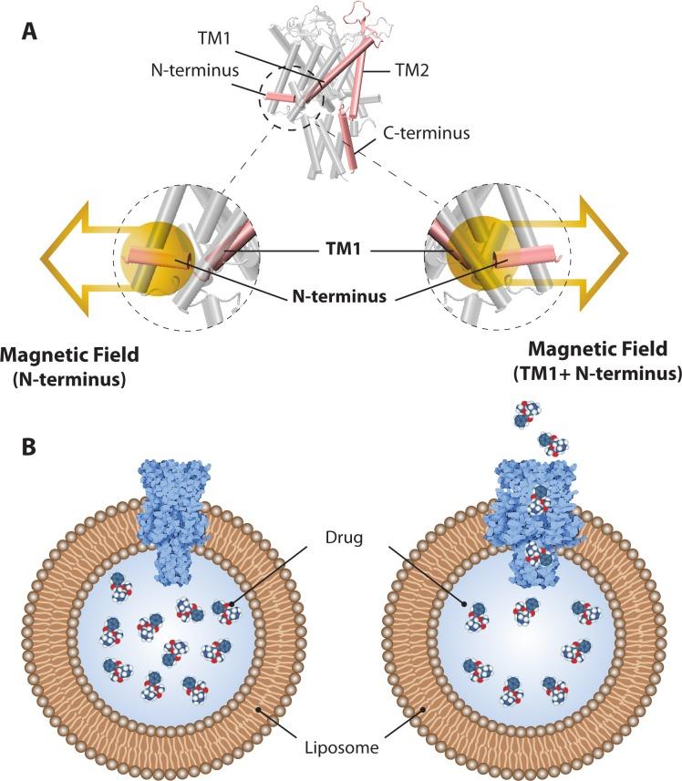 https://cdn.ncbi.nlm.nih.gov/pmc/blobs/10d9/5578686/861c62506c82/pone.0183822.g007.jpg