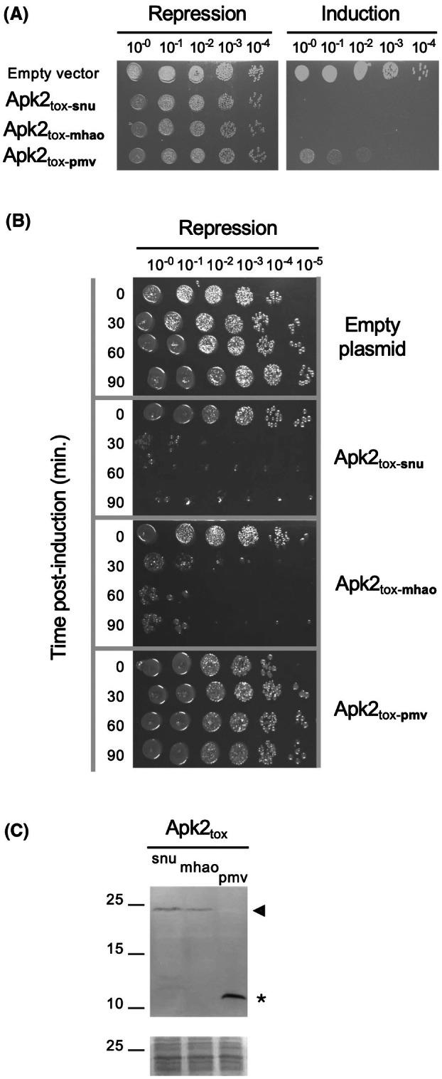 https://cdn.ncbi.nlm.nih.gov/pmc/blobs/10db/12226406/0974e1ba2a3a/FEB4-15-1103-g003.jpg