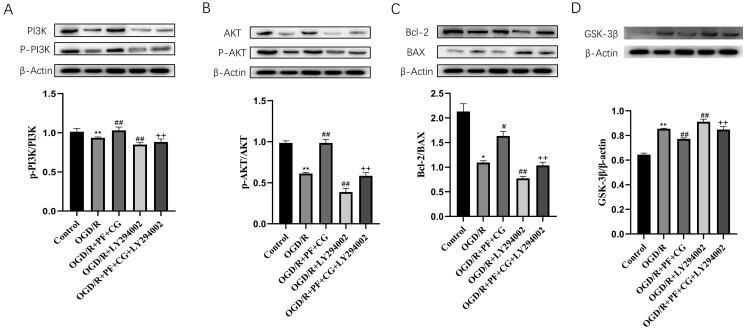 https://cdn.ncbi.nlm.nih.gov/pmc/blobs/10db/9361763/a0357111c4e3/IPHB_A_2102656_F0008_B.jpg