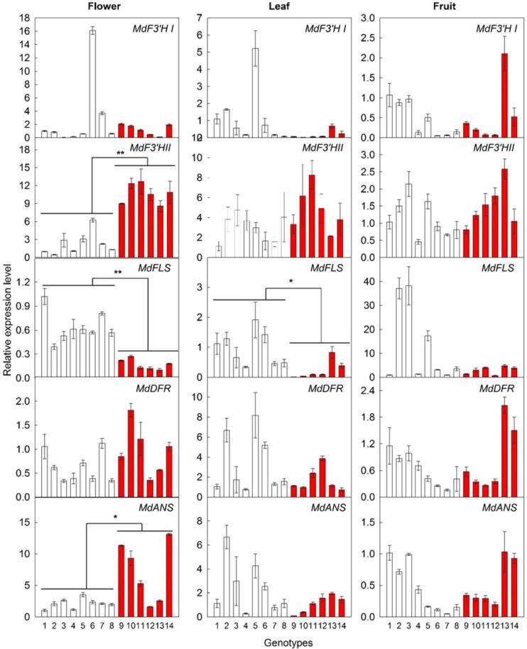 https://cdn.ncbi.nlm.nih.gov/pmc/blobs/10dd/8325685/6caef558110e/41438_2021_609_Fig4_HTML.jpg