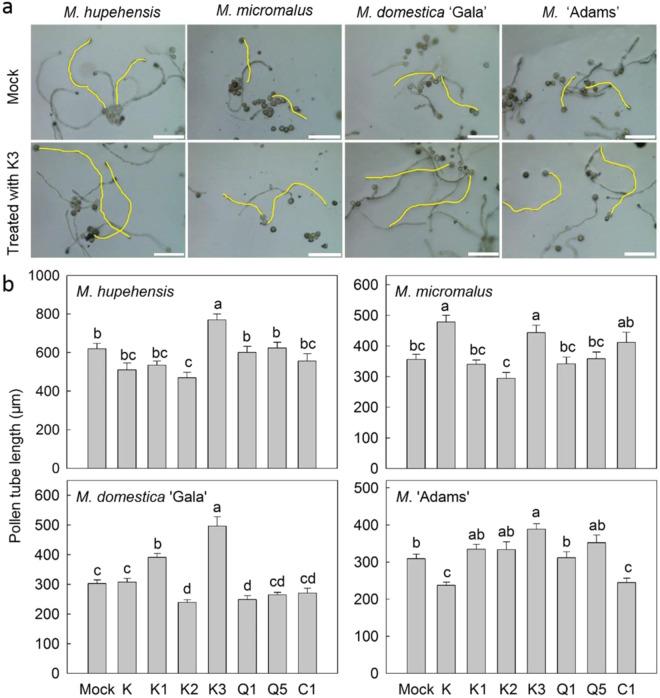 https://cdn.ncbi.nlm.nih.gov/pmc/blobs/10dd/8325685/90307ca0a2ab/41438_2021_609_Fig7_HTML.jpg