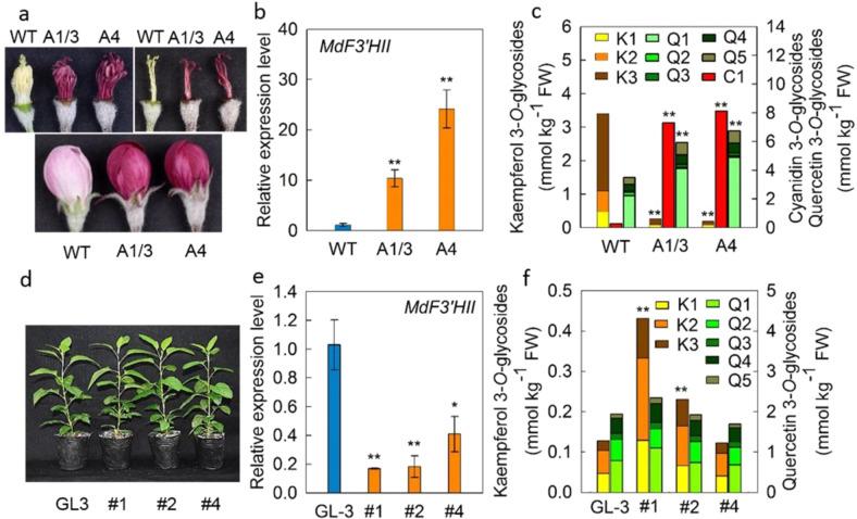 https://cdn.ncbi.nlm.nih.gov/pmc/blobs/10dd/8325685/a9b7854e5998/41438_2021_609_Fig5_HTML.jpg