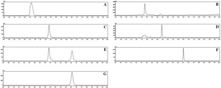 https://cdn.ncbi.nlm.nih.gov/pmc/blobs/10de/11677066/06f7fa1bbea9/pharmaceutics-16-01488-g002.jpg