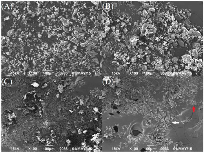 https://cdn.ncbi.nlm.nih.gov/pmc/blobs/10de/11677066/f08c9d398e44/pharmaceutics-16-01488-g004a.jpg