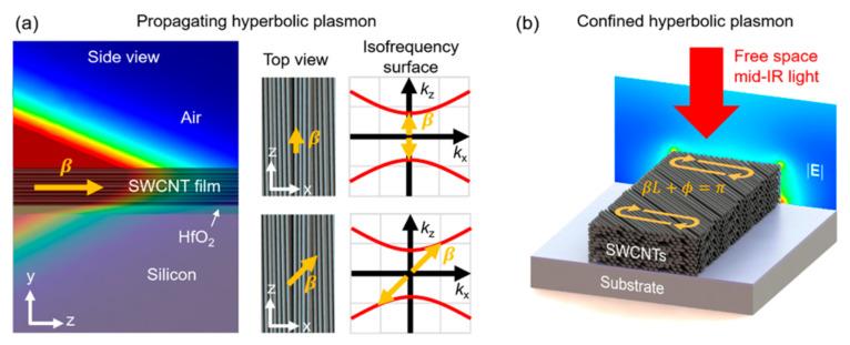 https://cdn.ncbi.nlm.nih.gov/pmc/blobs/10e1/10295925/3f55deb3f016/biosensors-13-00595-g003.jpg