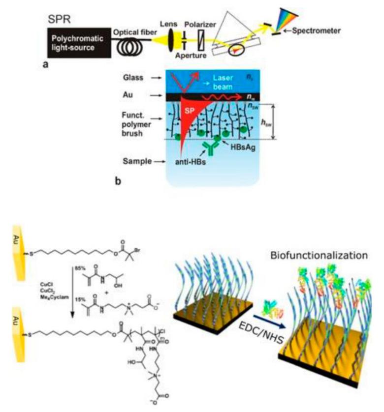 https://cdn.ncbi.nlm.nih.gov/pmc/blobs/10e1/10295925/4629f227a050/biosensors-13-00595-g014.jpg