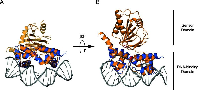 https://cdn.ncbi.nlm.nih.gov/pmc/blobs/10e2/10848828/19c8bbd5cf45/spectrum.02713-23.f008.jpg