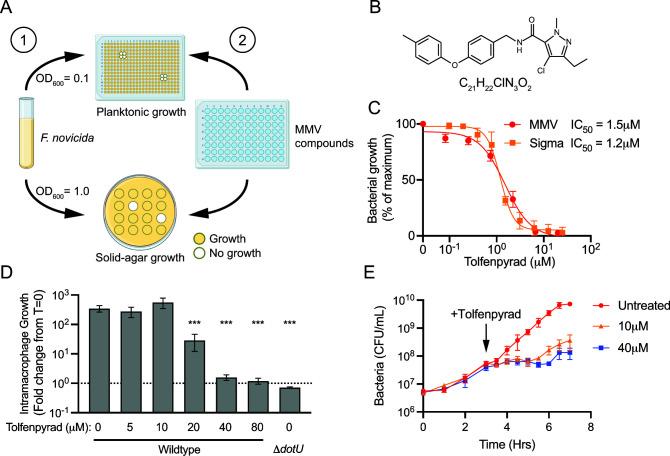 https://cdn.ncbi.nlm.nih.gov/pmc/blobs/10e2/10848828/563650d6119e/spectrum.02713-23.f001.jpg